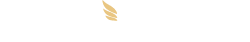 Istanbul VIP Transfer Logo